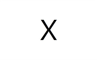 O.E.M. X